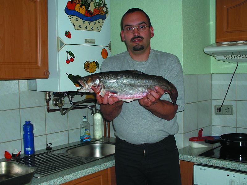 Saibling, 46cm, 3,5 pfd
im Frühjahr gefangen, wahrscheinlich aus einem Bach gespült