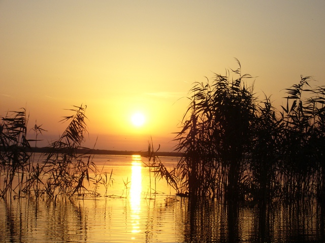 Sonnenaufgang am Neusiedeler See