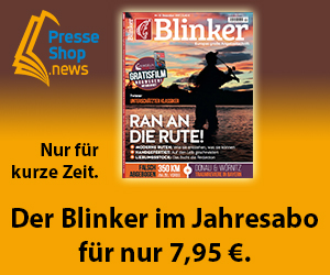 Blinker.jpg