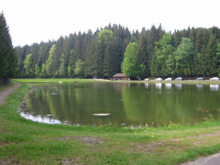 Angelanlage Hirnbachtal Teich 2 - Bild von User Eisvogel74