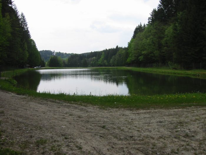 Angelanlage Hirnbachtal Teich 3 - Bild von User Eisvogel74