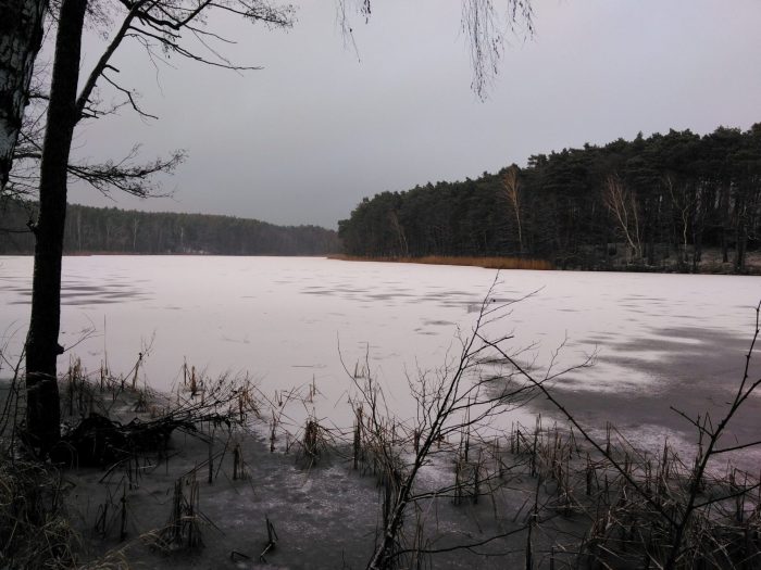 Herzberger See - Bild von Fuerstenwalder