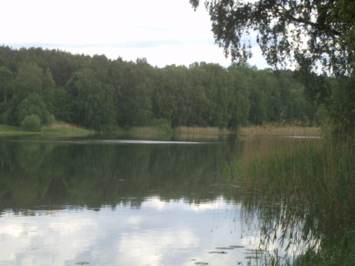 Bürgersee bei Fürstenberg - Bild von Bernd Zimmermann