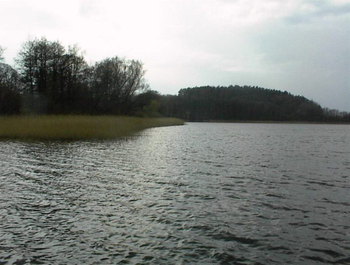 Dolgener See - Bild von mmiske