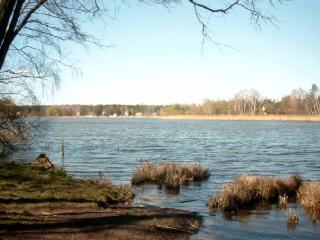 Falkenhagener See - Bild von Thomsen