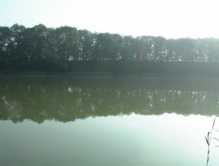 Hofsee bei Gubkow - Bild von mmiske