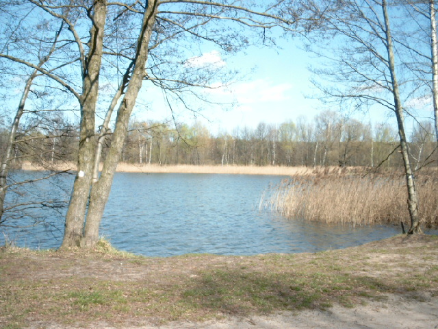 Neuer See in Falkensee - Bild von Thomsen