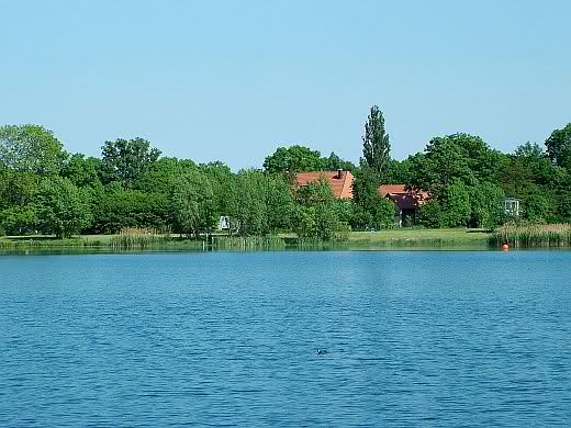 Halberstädter See - Bild von sennebauer