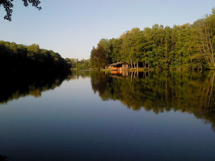 Burbacher Waldweiher Saarbrücken - Bild von pgonza