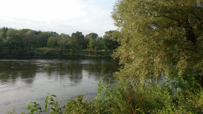Donau bei Ingolstadt - Bild von unserem User kkorbi