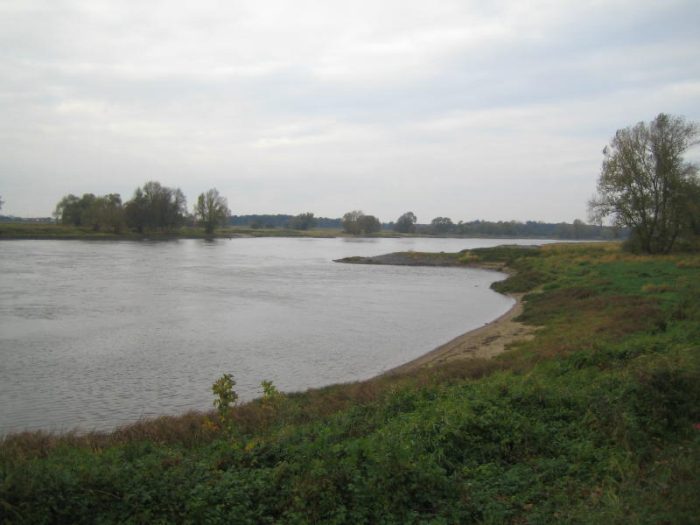 Elbe - Bild von Thomsen