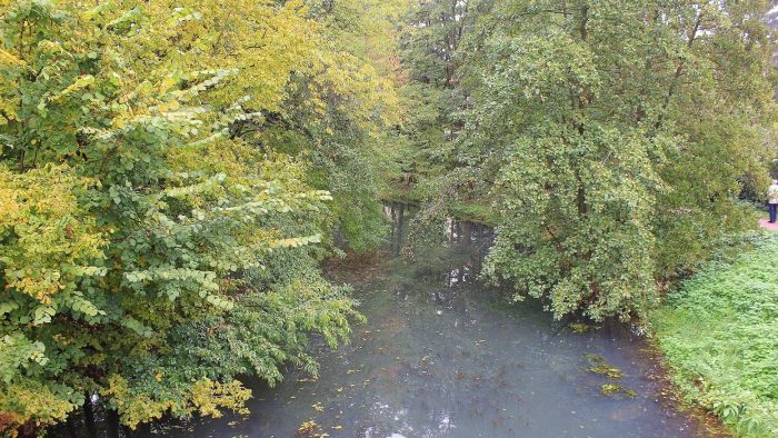 Alter Kanal bei Zootzen - Gewässerbild noch gesucht