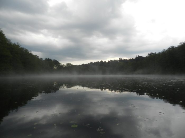 Kleiner Holzsee bei Vietmannsdorf - Bild von niehold.de 