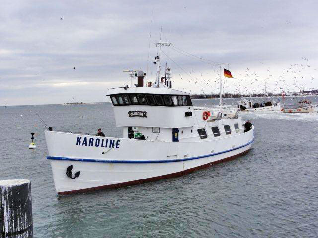 Ostsee Fehmarn - Bild von FM Henry