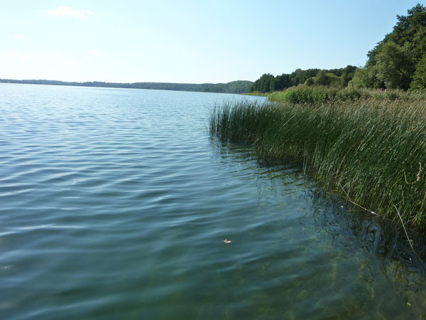 Ratzeburger See - Bild von kwoe_grund