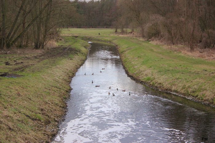 Abelitz-Moordorf-Kanal bei Wirdum - Gewässerbild noch gesucht