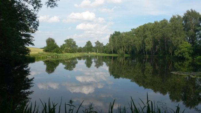 Bobritzscher Teich - Bild von C@fish
