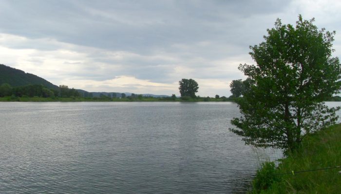 Donau bei Regensburg Friesheim - Bild von unserem User Hechtmen71