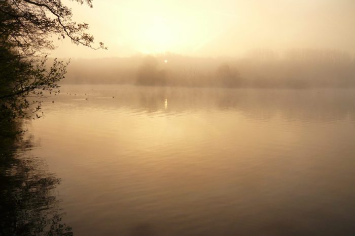 Ewaldsee - Bild von ewaldsee