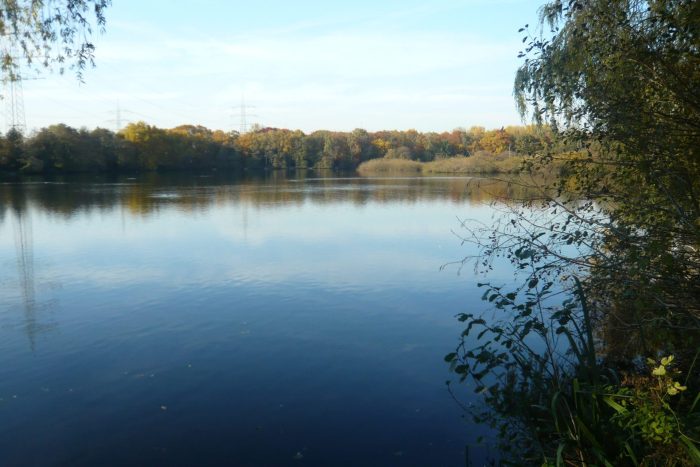 Ewaldsee - Bild von ewaldsee