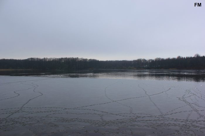 Finckener See - Bild von FM Henry