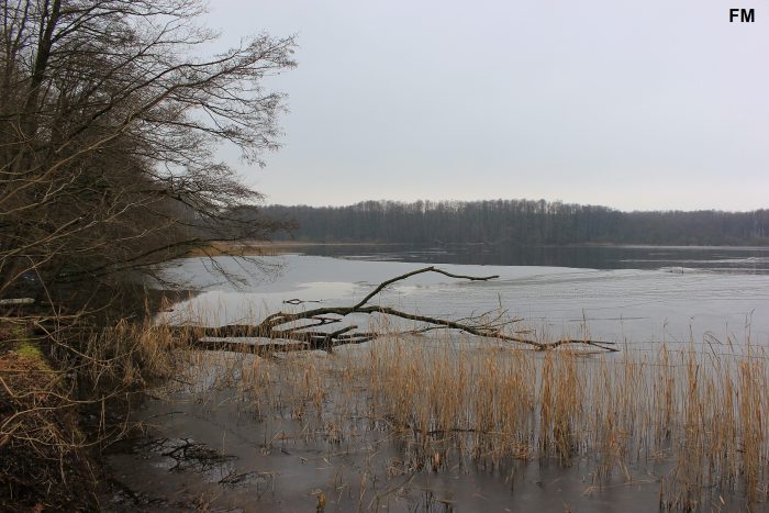Finckener See - Bild von FM Henry