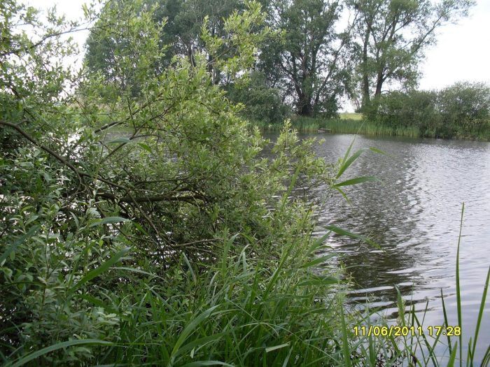 Krummer See bei Teschow - Bild von unserem User mmiske
