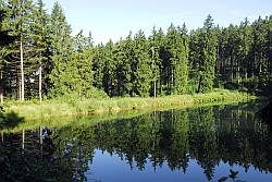 Mittlerer Grumbacher Teich - Bild von User igler