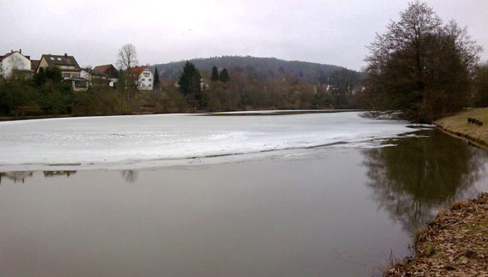 Regnitzsee - Bild von unserem User Fischakeenig