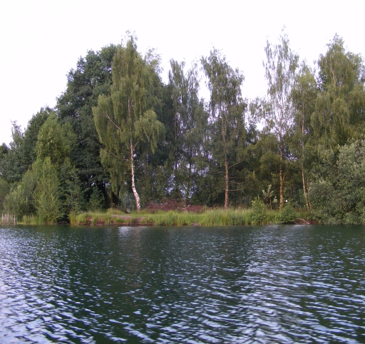 Schäfermeier See - Bild von P. Angler