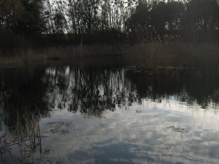Sommerfelder Kiesgrube - Gewässerbild von unserem User blackpipe