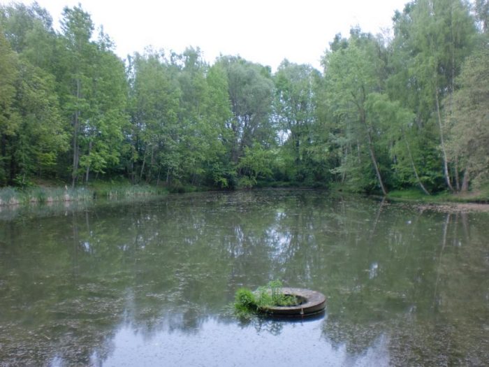 Teich in Bockwen Scharfenberg - Bild von unserem User Chosen_one111
