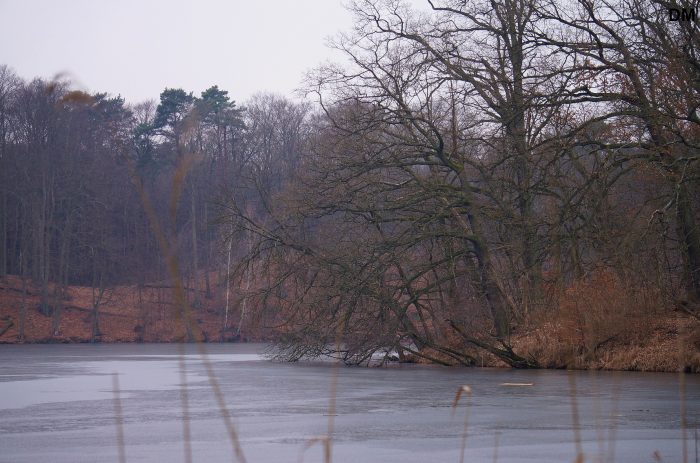 Hellsee - Gewässerbild von DM