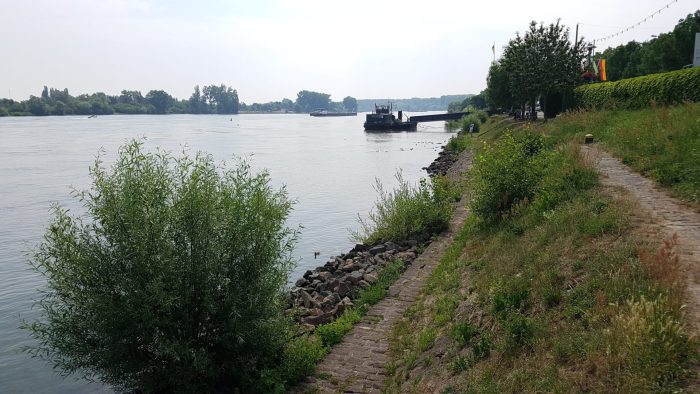Rhein bei Kornsand - Bild von unserem User Thilo
