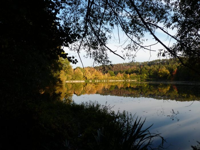 Mansfelder Teich - Bild von K. Hillmer