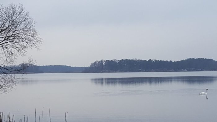Neuendorfer See - Bild von unserem User Pinie