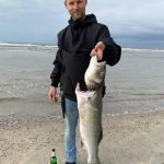 Wolfsbarsch – 80 cm Nordsee bei Norderney