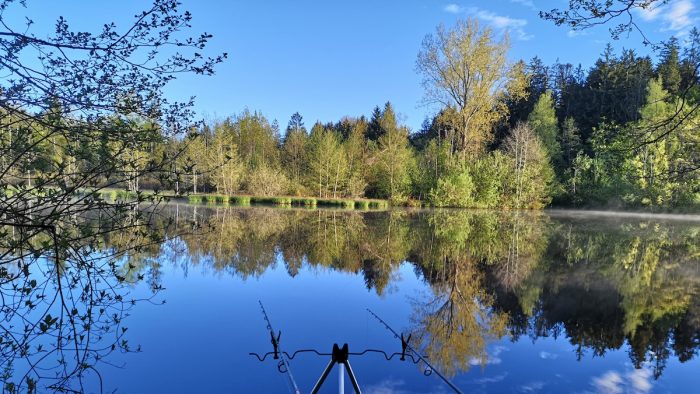 Waldsee bei Lindenberg -  Bild von Liam G.