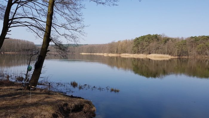Großer Lienewitzsee - Bild von Panke