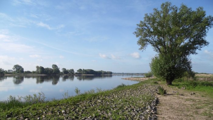 Elbe bei Bleckede / Heisterbusch - Bild von pb