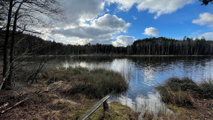 Krummer See bei Godendorf -  Bild von Jens_FHP