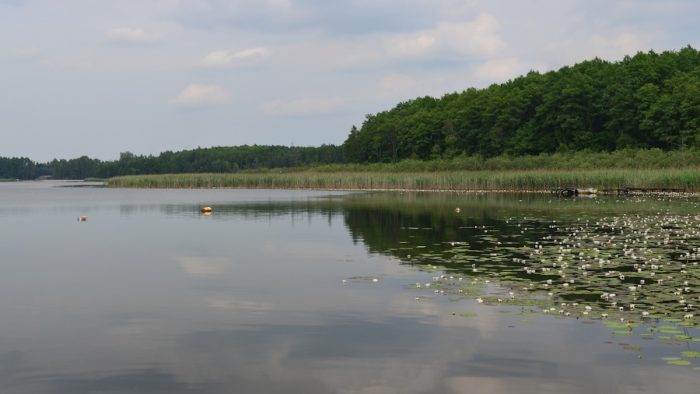 Jezioro Łukcze – Bild von Tomasz Zugaj, CC BY-SA 2.0, bearbeitet von fisch-hitparade.de