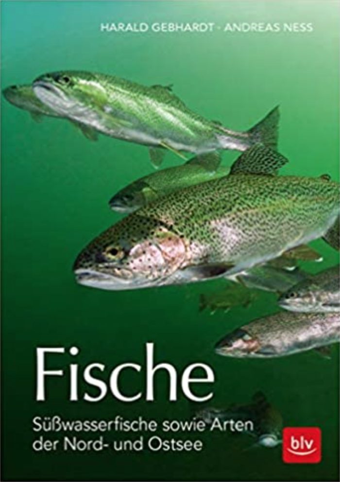 Fische- Süßwasserfische sowie Arten der Nord- und Ostsee