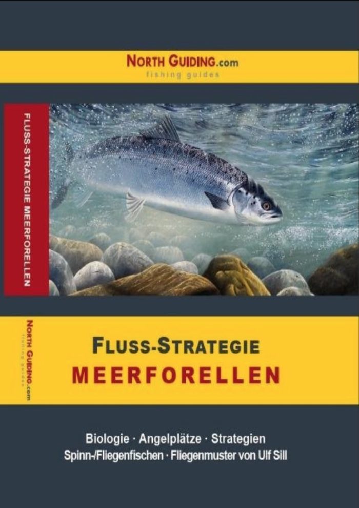 Fluss-Strategie - Meerforellen- Biologie - Angelplätze - Strategien. Spinn- :Fliegenfischen