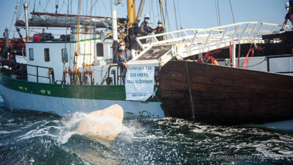 Greenpeace versenkt Steine am Adlergrund vor Fehmarn