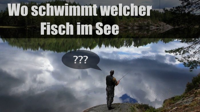 Wo schwimmt welcher Fisch im See?